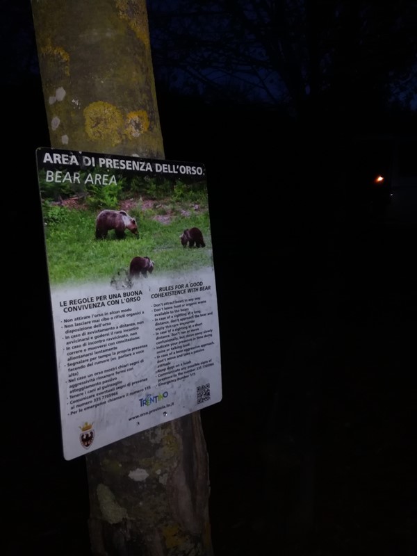Bear area!